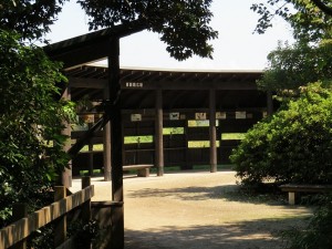 東観察広場 東京港野鳥公園