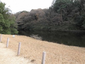 北池