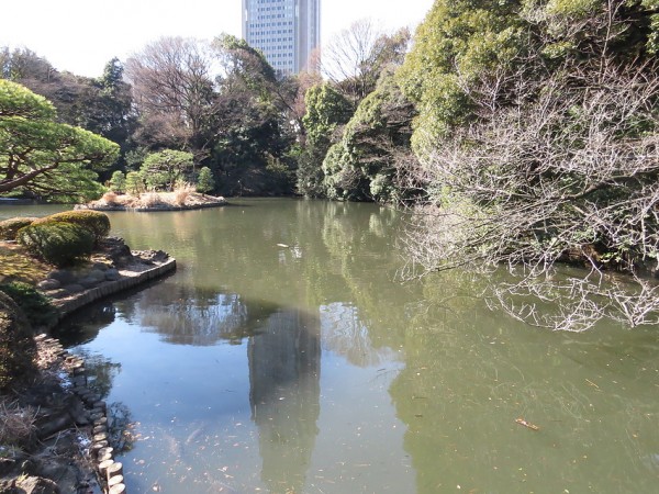 上の池