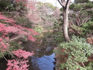 明治神宮 北池