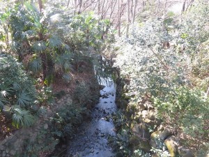 砧公園