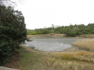 葛西臨海公園　下の池