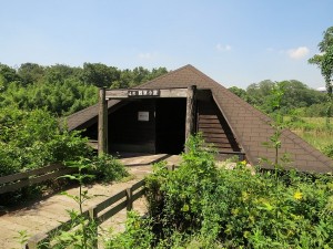 東京港野鳥公園 4号観察小屋