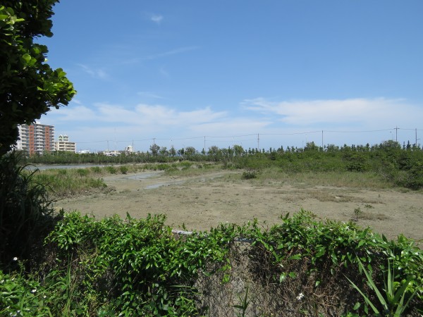比屋根湿地 (2)