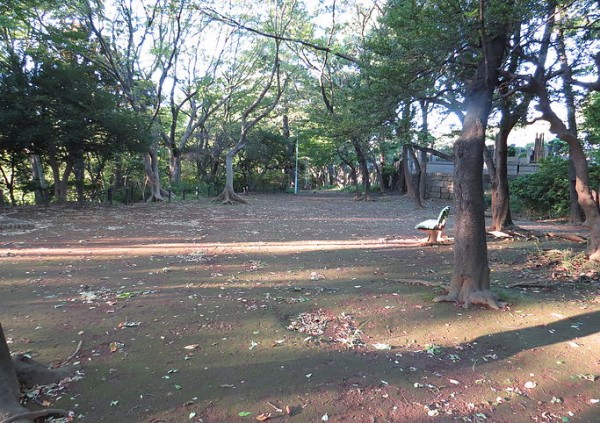 東京都２３区内でオオルリ・キビタキ　本門寺公園