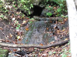 大洞の水場2