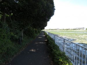 谷津干潟