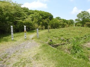 イカルの生息地　富士山須山口登山歩道