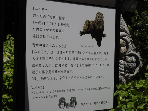野木神社のフクロウ 野鳥情報 Com