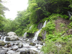 吐竜の滝　キビタキ