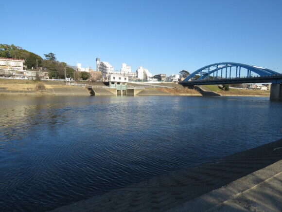 イカルチドリの生息地　多摩川丸子橋周辺