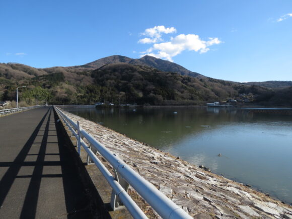 茨城県　カワセミ　つくし湖