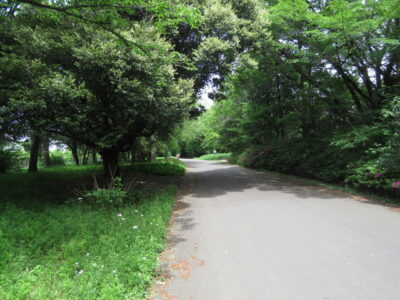 昭和記念公園　残堀川沿いの道
