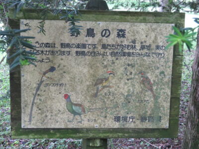 猪之頭公園の野鳥　野鳥の森　看板