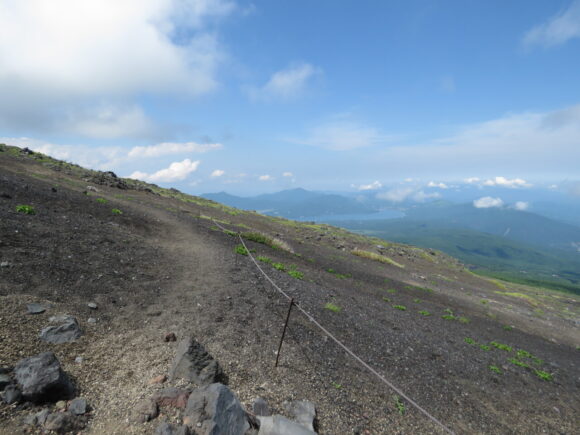 富士山須走口五合目の野鳥　ジュウイチ