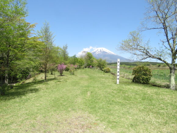コムクドリの生息地　富士山須山口登山歩道