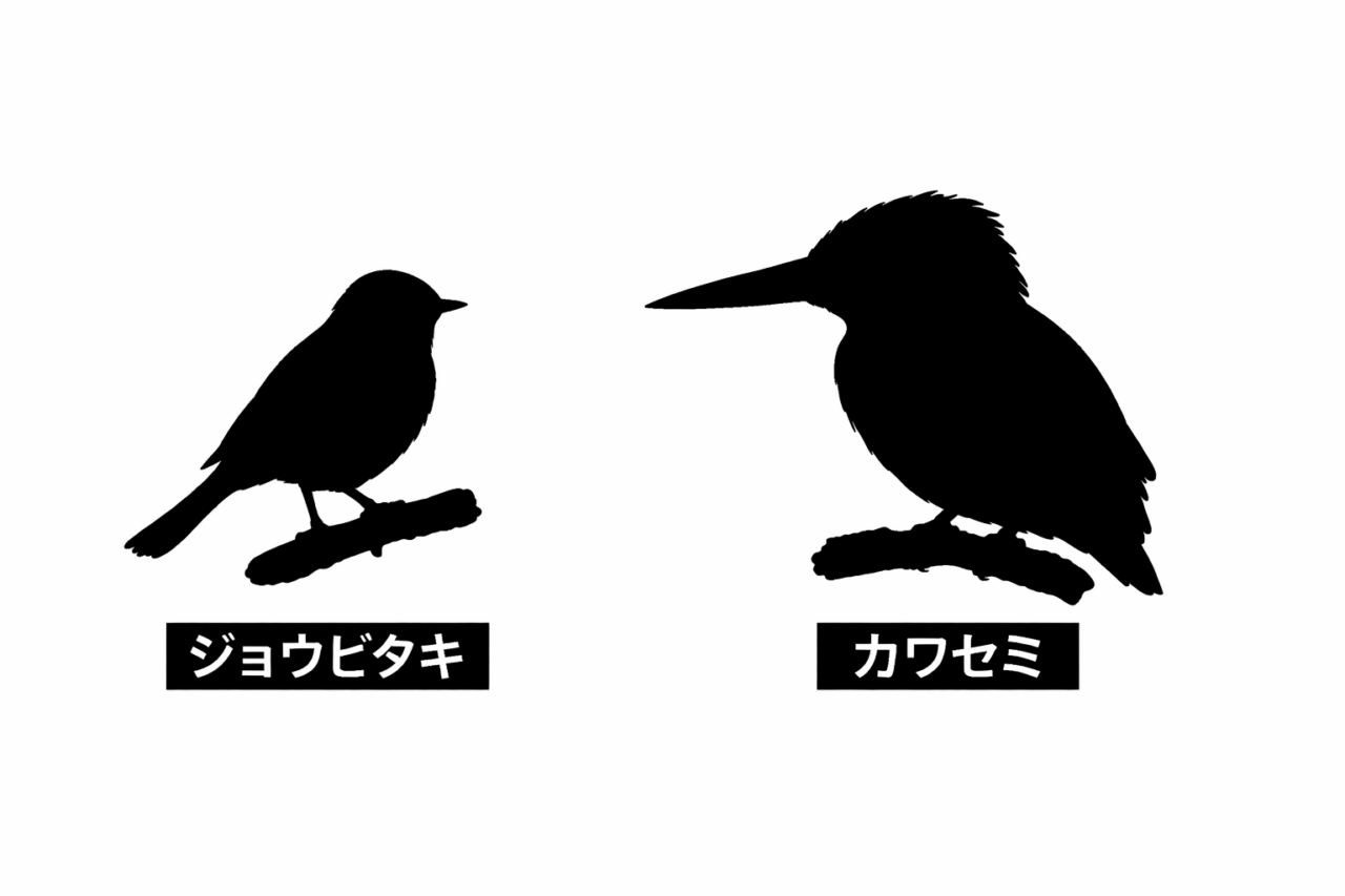 ジョウビタキとカワセミの違いと見分け方 大きさ シルエット 違い