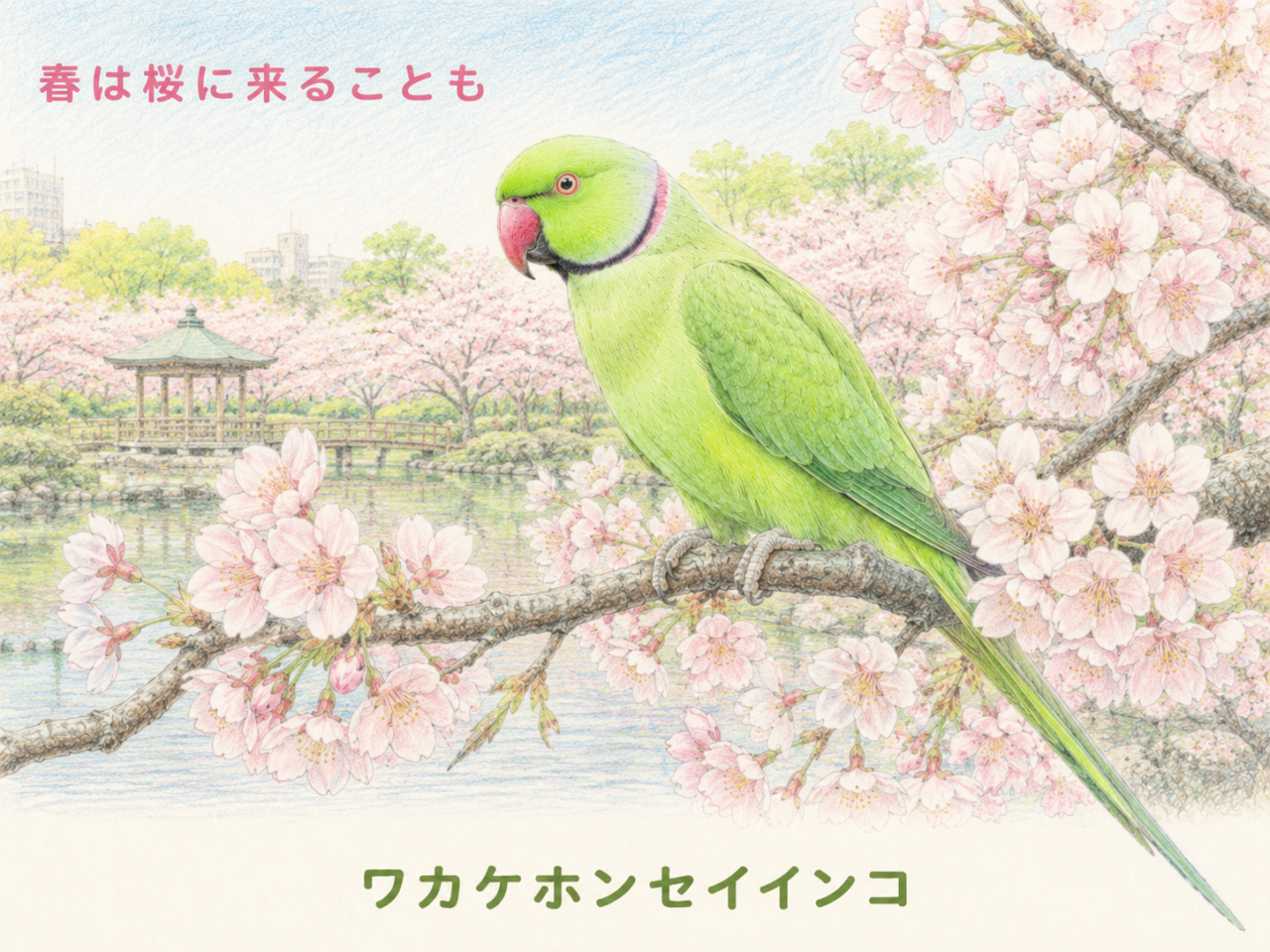 ワカケホンセイインコと桜