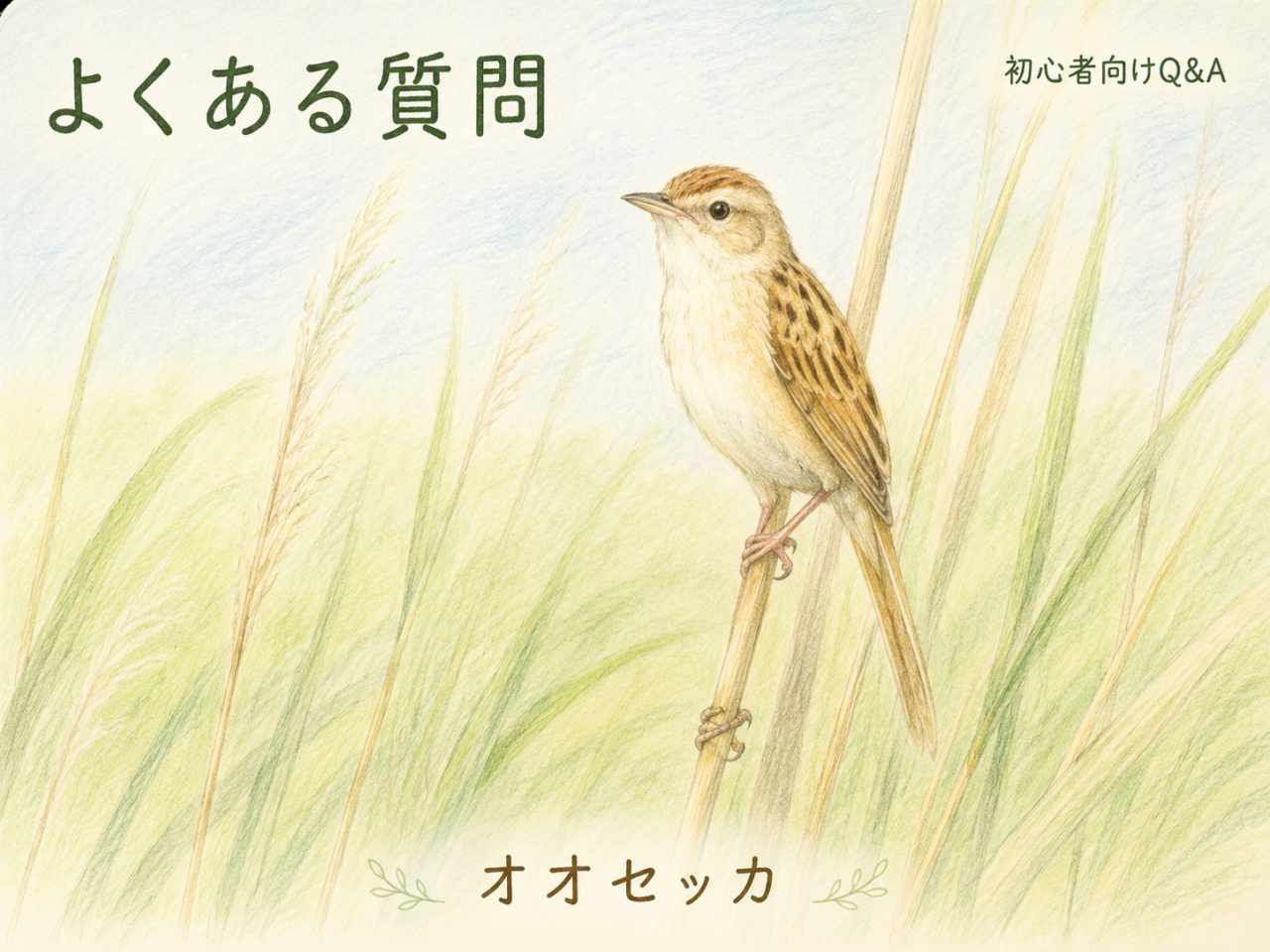 オオセッカに関するよくある質問