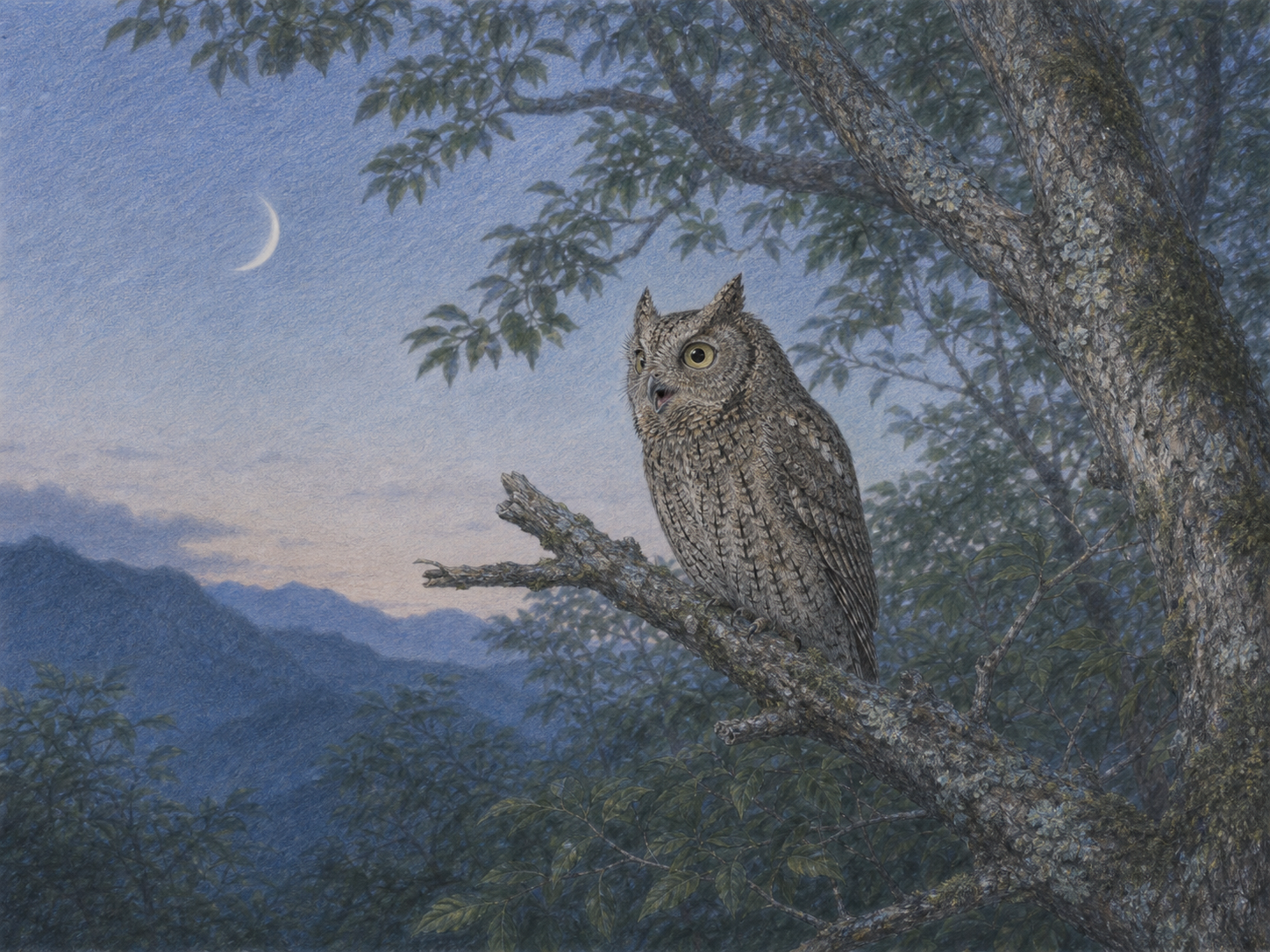 月の出た夏の山林で鳴くコノハズクの淡い色鉛筆画