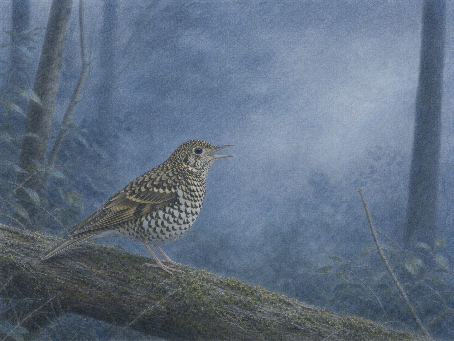 夜の森で鳴くトラツグミの鳴き声を描いたイラスト