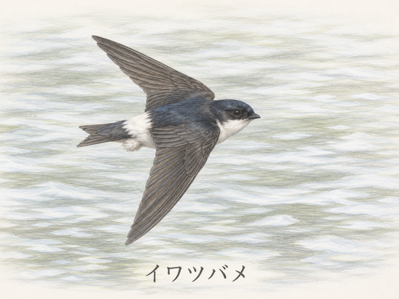 イワツバメとは？日本で見られる生息地・鳴き声・特徴・巣・季節を初心者向けに完全ガイド