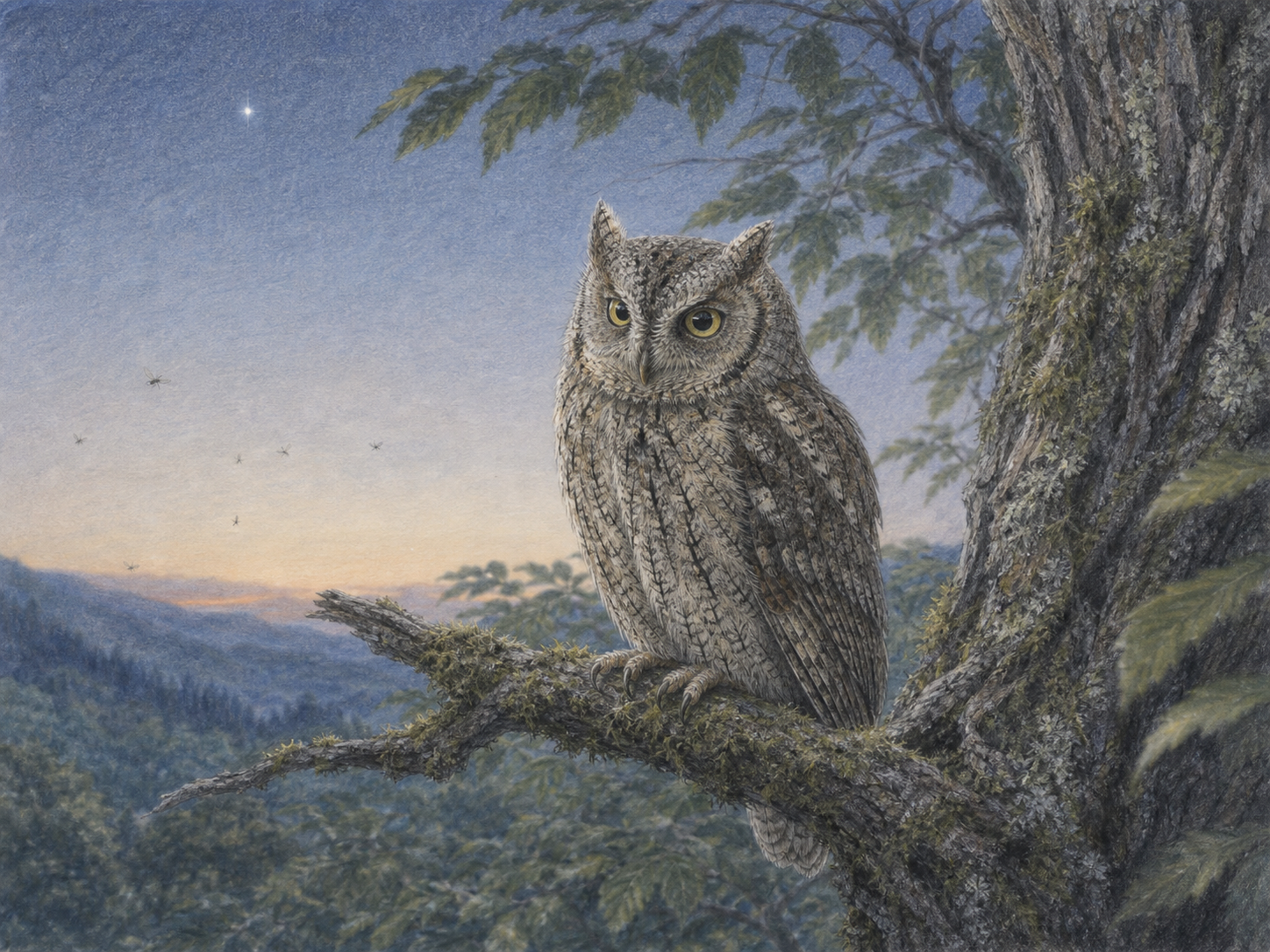 夕暮れの山林で苔むした枝に静かにとまるコノハズクの色鉛筆画