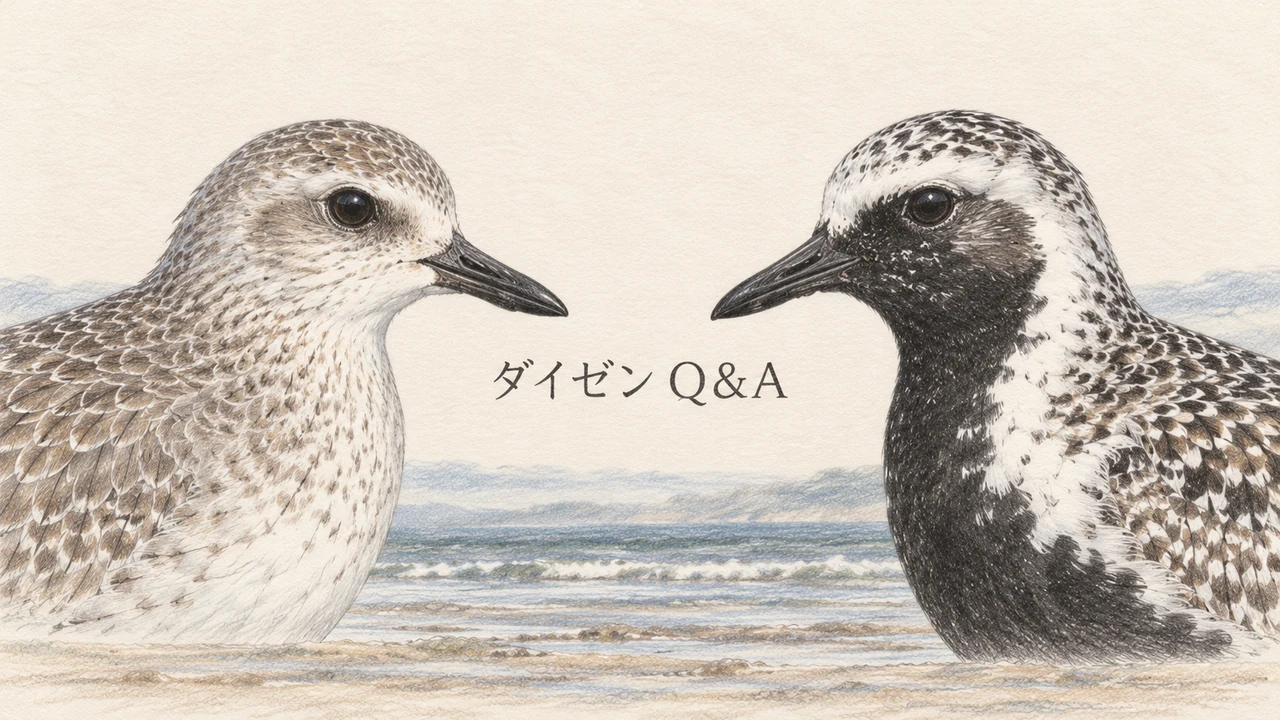 淡い羽色のダイゼンと黒い夏羽のダイゼンの顔を並べた色鉛筆画